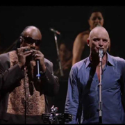 Sting with stevie Wonder - Brand new day 01